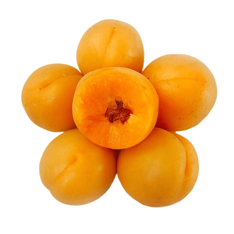 泽鲜达陕西大黄杏新鲜孕妇水果当季时令鲜果杏杏子 净重2斤